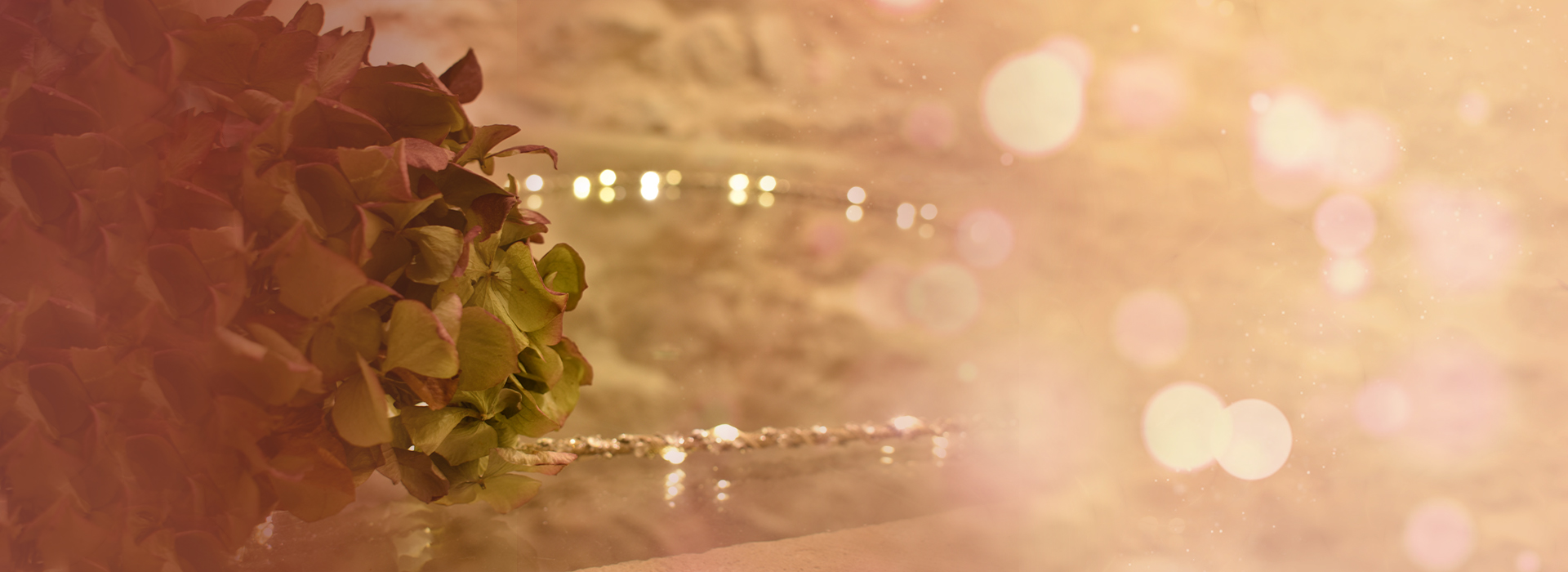 Fleurs et douceur sur le puits intérieur du salon de massage bien-être de pougues les Eaux proche de Nevers