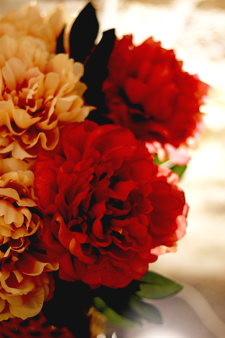 Fleurs du salon de Nevers