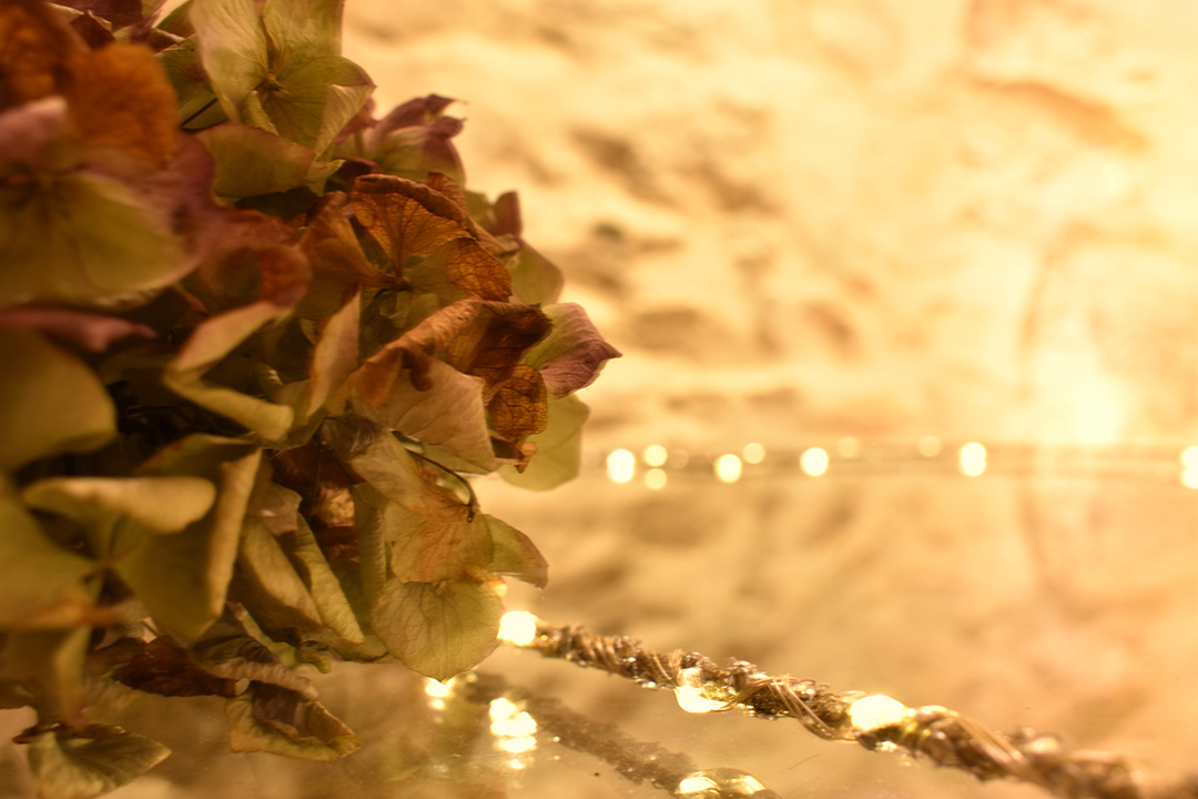 Massage dos du salon d'âmes de Coeur près de Nevers